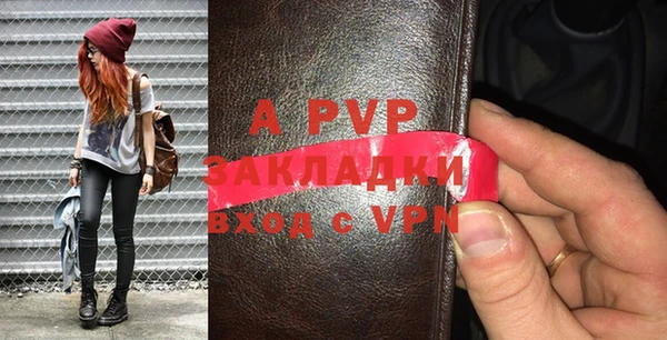 шишки Арсеньев