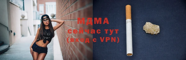 хмурый Аркадак