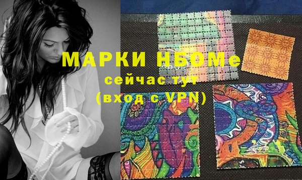 шишки Арсеньев