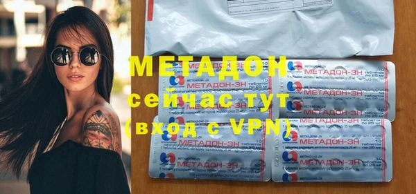 хмурый Аркадак
