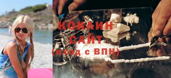 шишки Арсеньев