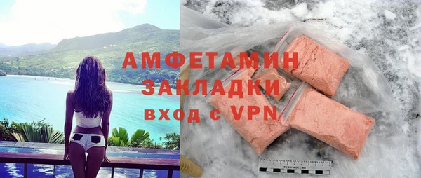 хмурый Аркадак