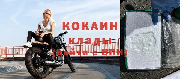 хмурый Аркадак