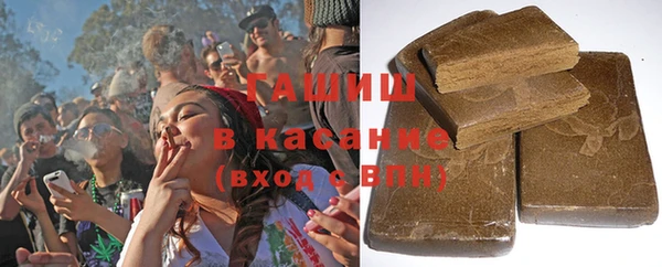 хмурый Аркадак