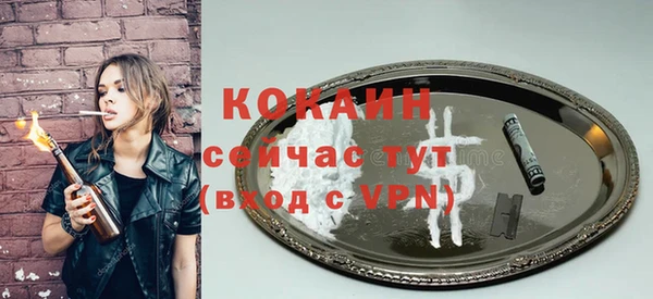 шишки Арсеньев