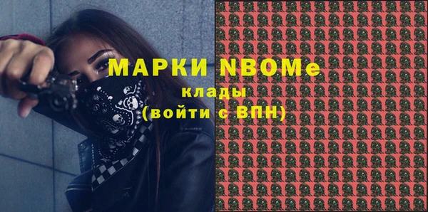 шишки Арсеньев